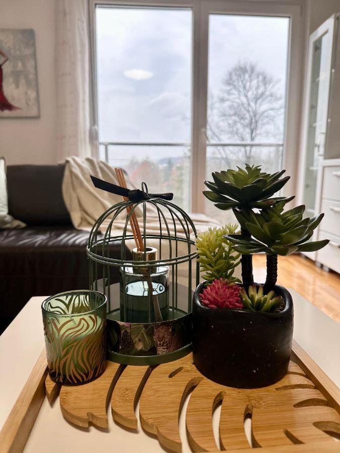 Apartman Floresta - In Front Of Japanese Garden, Enchanting Nature View, Spotless And Cozy Vrnjačka Banja Esterno foto